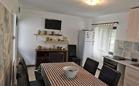Vila primitoare, trei dormitoare, living, baie cu cada cu hidromasaj, bucatarie-living separata de casa, casuta de gradina, curte, gratar